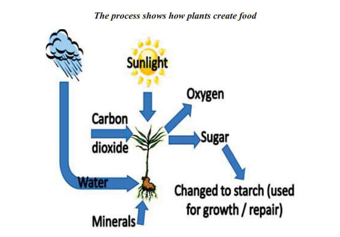 process 1